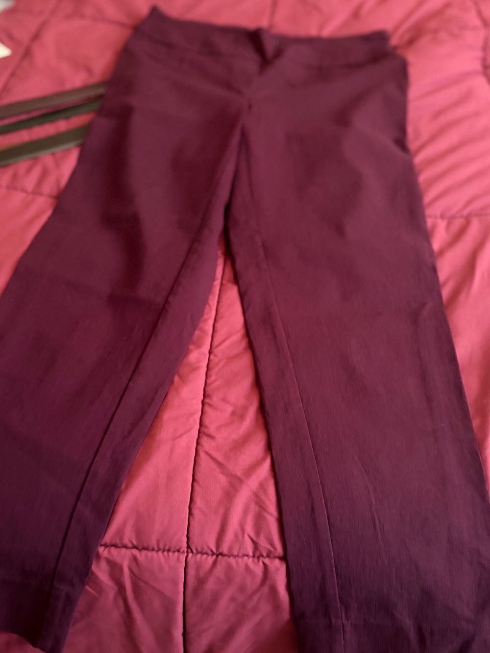 Zac & Rachel Deep Plum Dress Pants